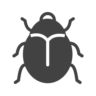 Insect
